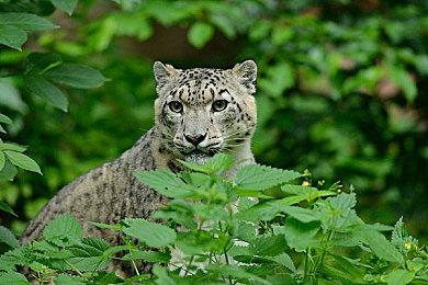 全球经典解谜游戏IP巨作《迷室VR》预约开启！