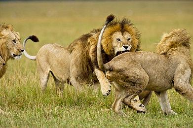 《荒野大镖客：救赎》PC版配置要求公布 推荐2070